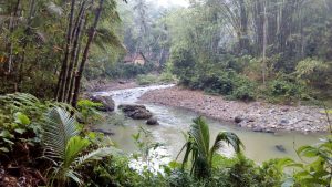 Abdurrachim asal Lumajang