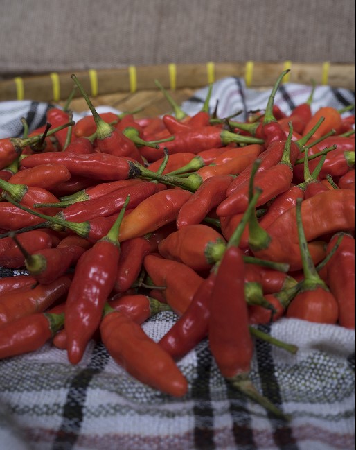 Harga Cabai Rawit di Mojokerto per 24 Februari 2024 1 Harga Cabai Rawit