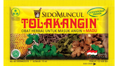 harga saham sido tolak angin
