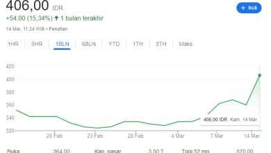 Cetak Laba 25%, Saham DOID Naik 19 Saham DOID naik