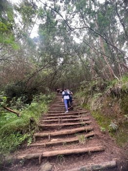Pendakian Gunung Sumbing via Kaliangkrik