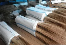 Intip Cuan dari Ekspor Lidi Nipah dan Lidi Sawit Indonesia 4 ekspor lidi nipah