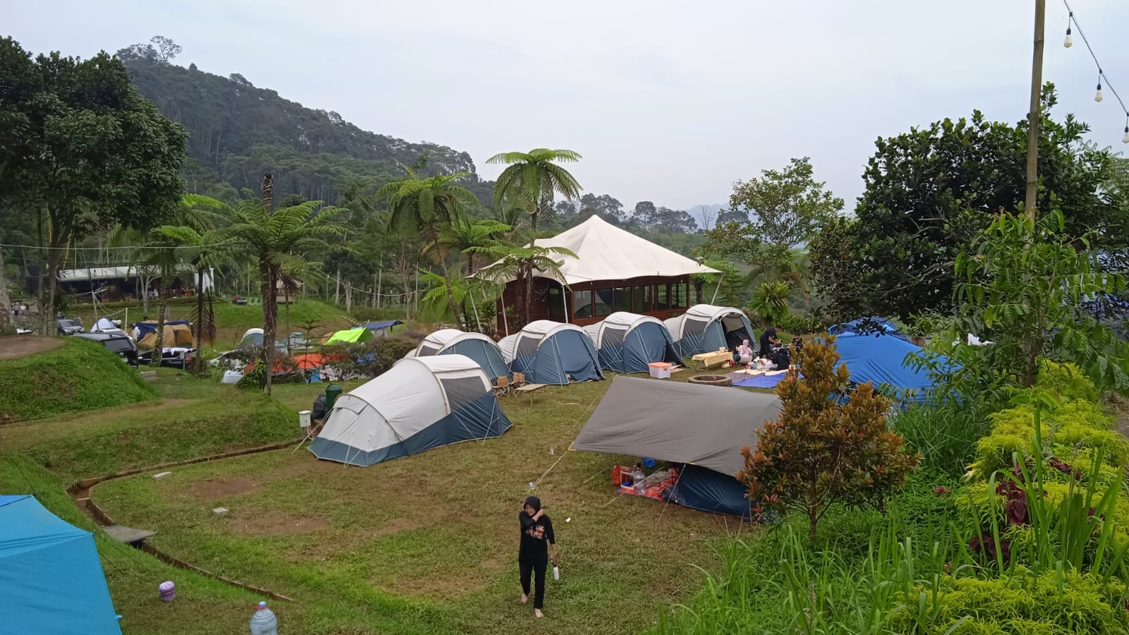 Dinginnya Tiris Pisan Village Tidak Sedingin Pendapatan Perbulan, Hasil Mingguannya Bikin Ngiler 4 Tiris Pisan Village