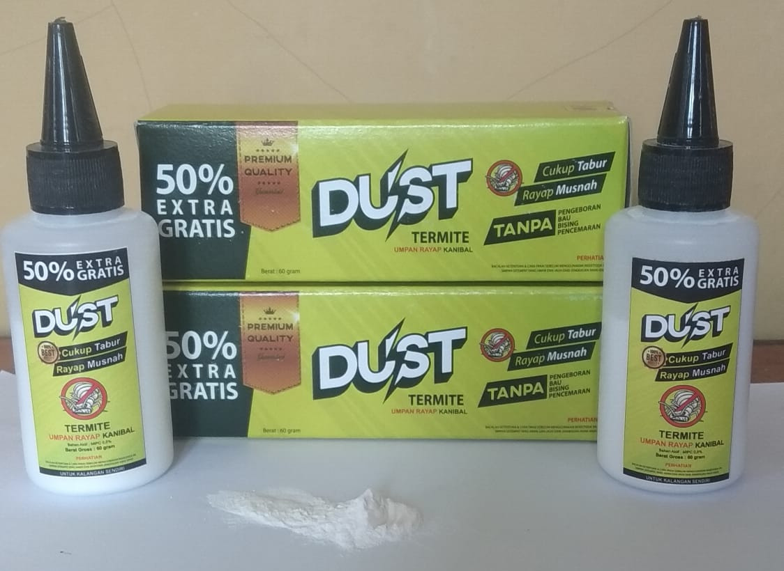 Solusi Cepat Atasi Masalah Rayap
