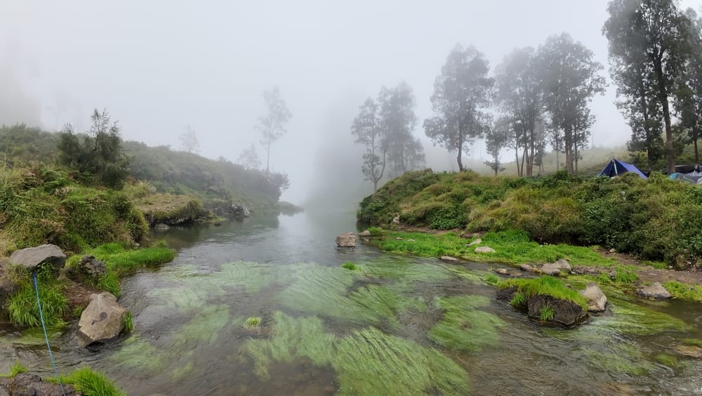 Menyelami Keindahan Danau Segara Anak dalam Perjalanan Dari Pelawangan Rinjani #4 25 Danau Segara Anak