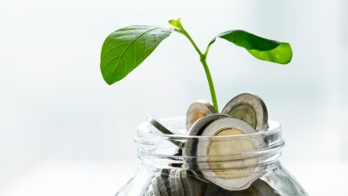 Melihat Komitmen SMSM untuk Laba, Incar Status Bangsawan Dividen? 1