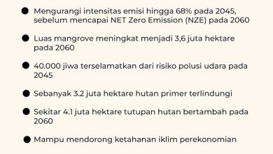 Mendag RI Dorong Negara Berkembang Naik Kelas di G20, Fokus pada Industri Hijau dan Teknologi 13 pemberdayaan umkm dengan whatsapp