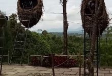Puncak Sidiangkat, Permata Dairi yang Menawarkan Kesejukan Istimewa 3 Puncak Sidiangkat