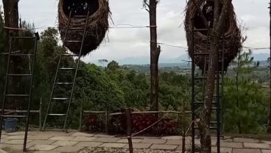 Puncak Sidiangkat, Permata Dairi yang Menawarkan Kesejukan Istimewa 2 Puncak Sidiangkat