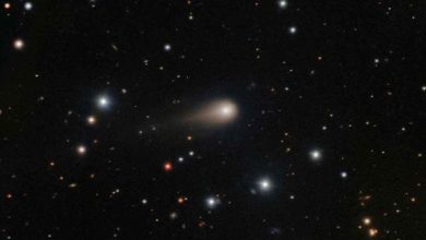 Tips cara mengatasi listrik mati total