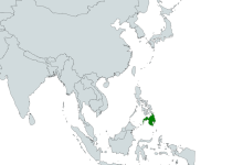 Timnas Indonesia U-23