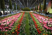 Foto: Mengunjungi Pameran Pertanian Internasional di Jerman 4 Bericuan