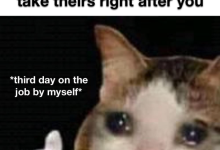 7 Meme Istirahat Makan Siang yang Menghibur di Tempat Kerja 2 Bericuan