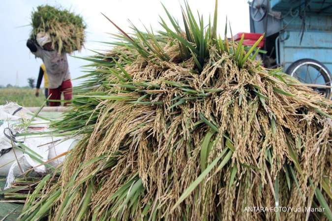 BPS Prediksi Luas Panen Padi Mencapai 3,92 Juta Ha pada Februari-April 2026 1